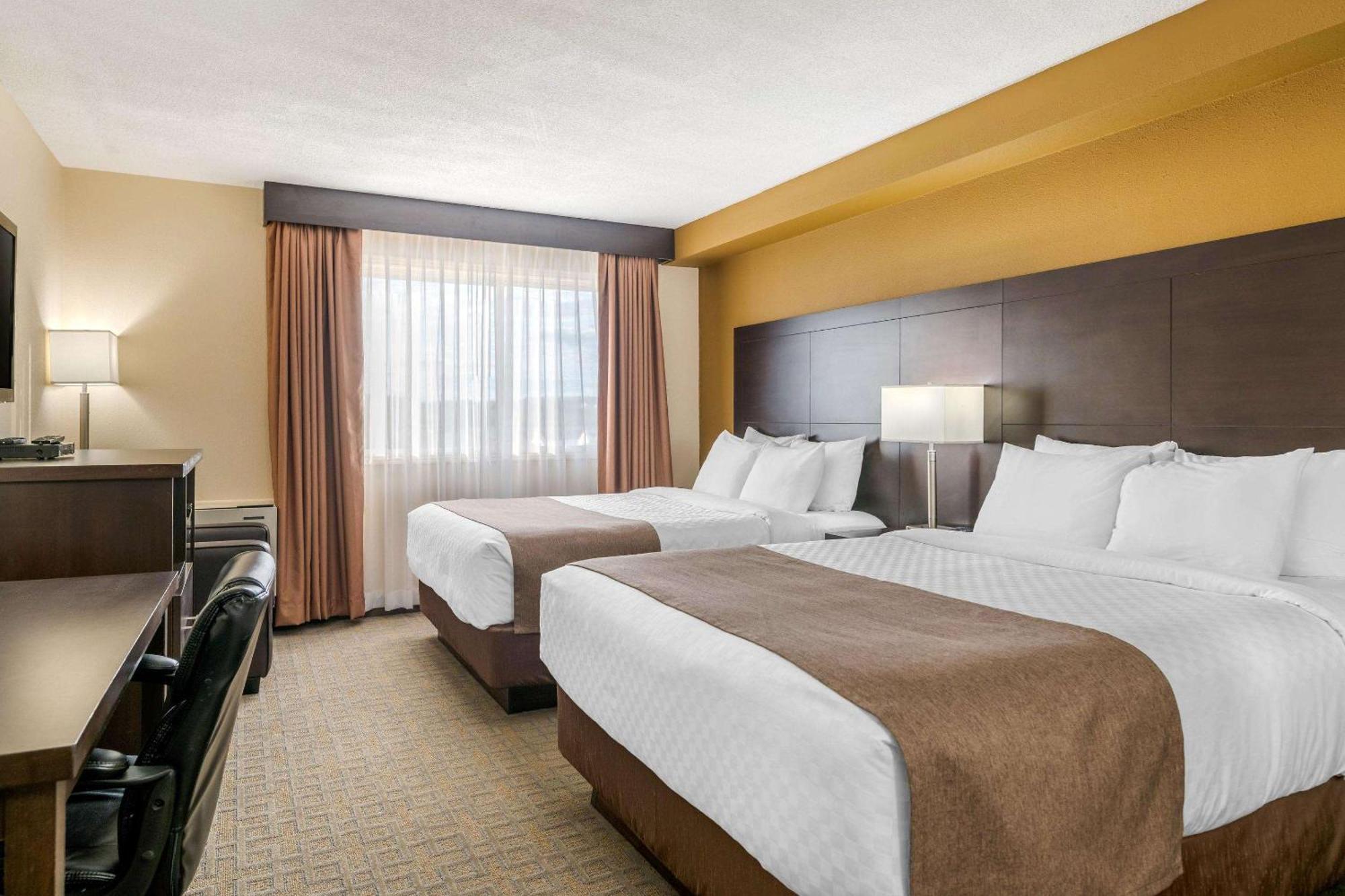 Quality Inn & Suites Bathurst Quarto foto